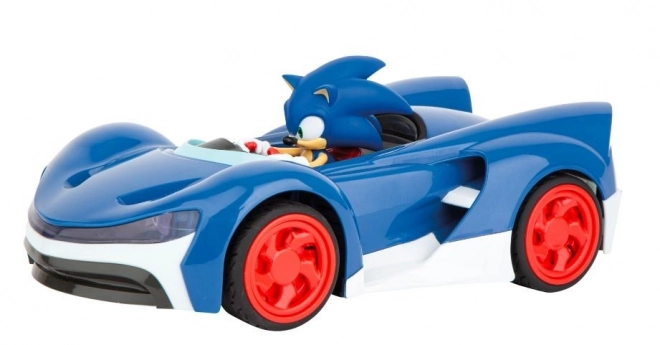 Carrera GO! Sonic Racing Track Set