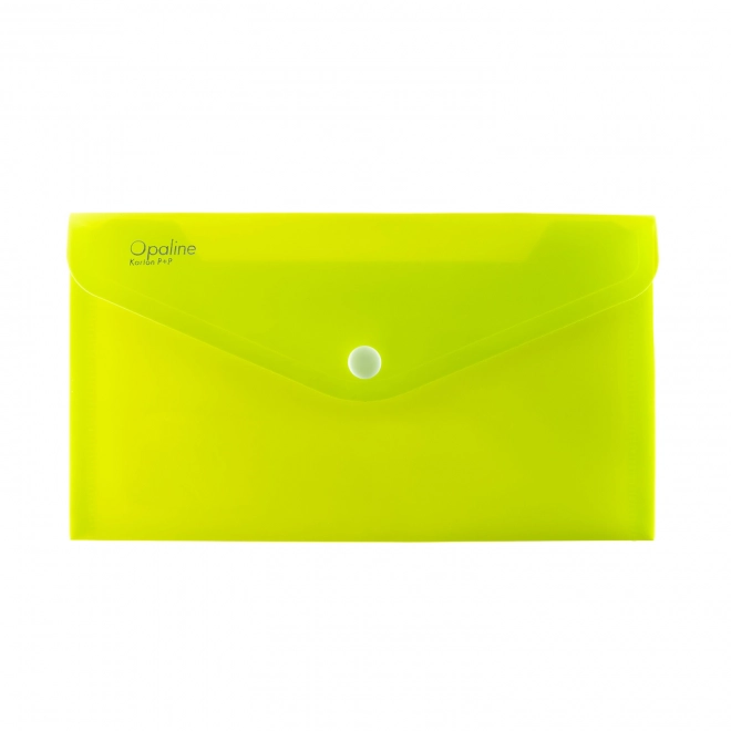 Opal green lime document holder