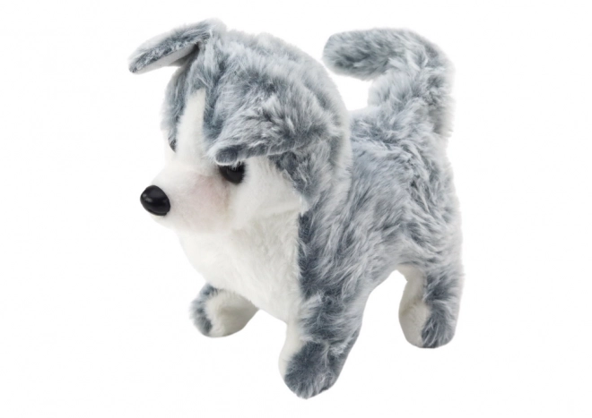 Interactive Husky Dog Toy with Sound and Movements