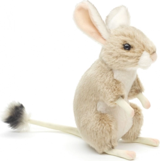 Realistične podrobnosti tarbika