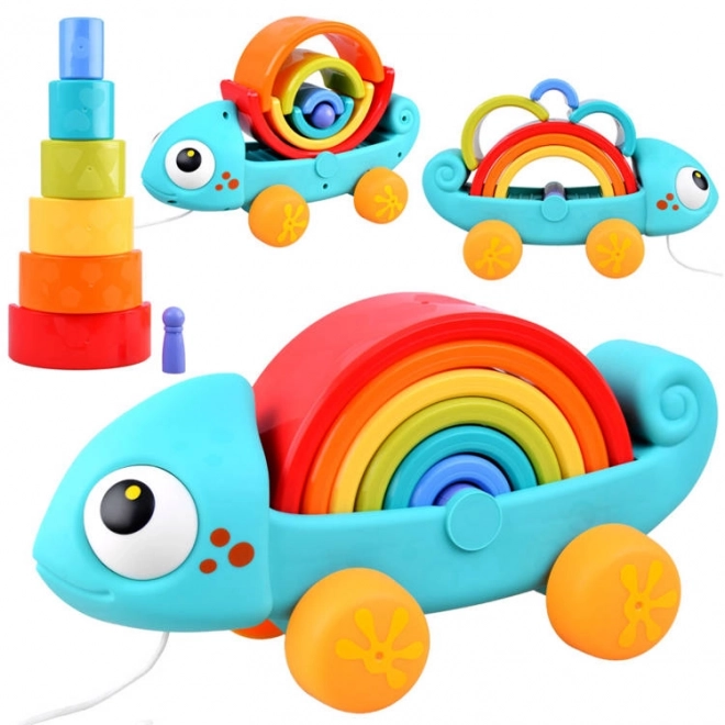 Rainbow Chameleon Montessori Puzzle