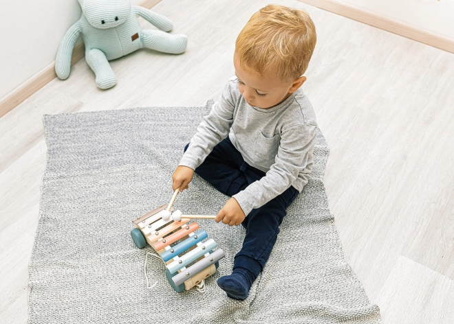 Wooden Pull-Along Xylophone for Kids