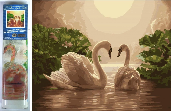 Swan Song Diamond Painting Kit