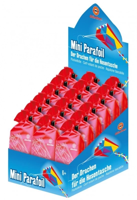 Mini 3D Parafoil Kite