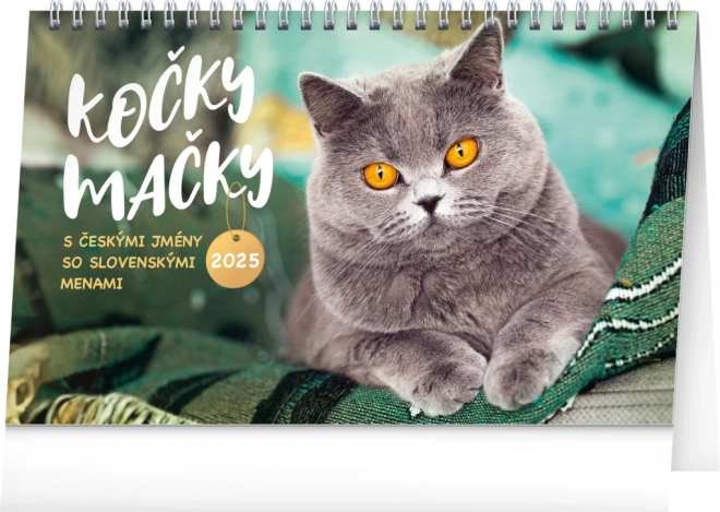 Desk Calendar Cats 2025 in CZ/SK