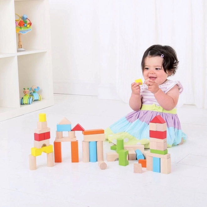 Bigjigs Baby Colorful Building Blocks Set