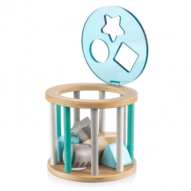 Wooden Activity Insert Toy, Blue