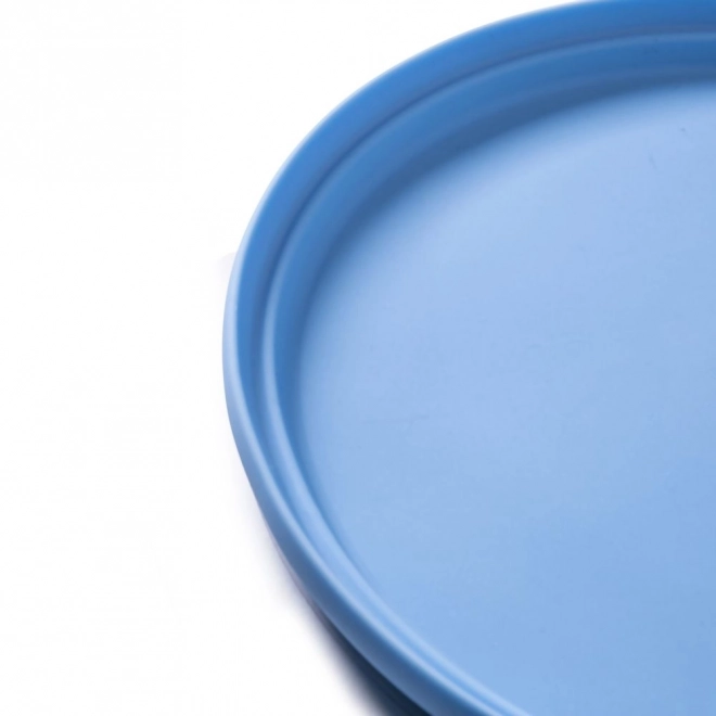 Blue Powder Frisbee by Bigjigs Toys