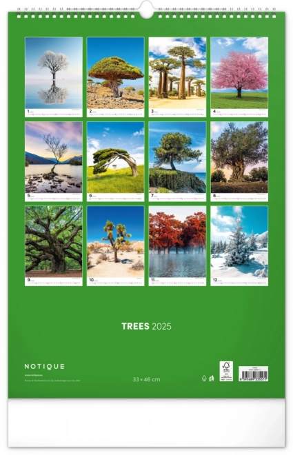 Wall Calendar Trees 2025