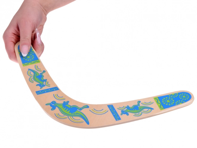 Wooden Boomerang Fun Toy