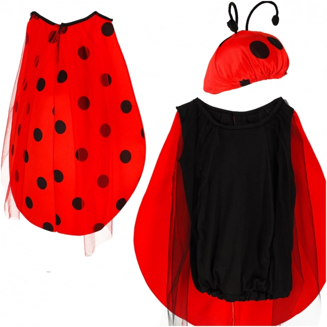 Children's Ladybug Costume