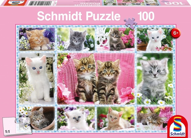 Schmidt Puzzle Kittens 100 Pieces