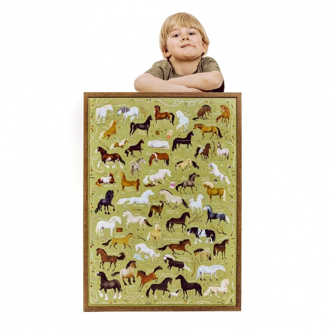 Horse Puzzle 60 Pieces