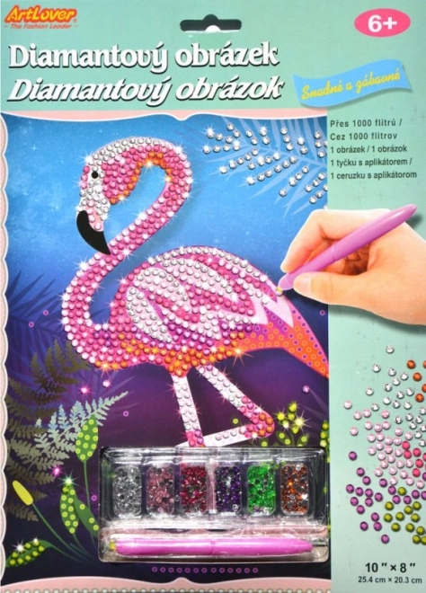 Diamond Painting with Accessories