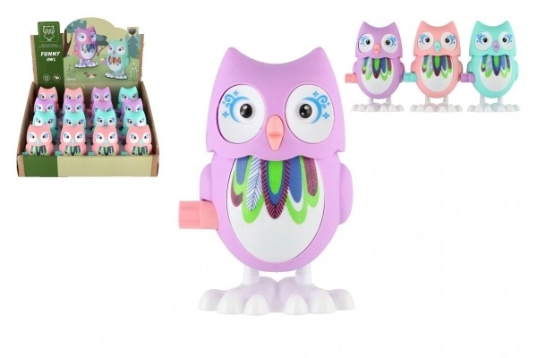 Colorful Wind-Up Owl Toy