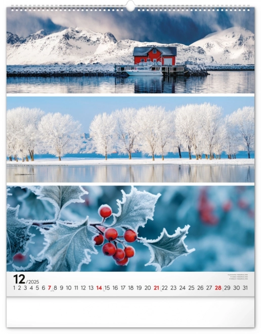 Wall Calendar Palette 2025