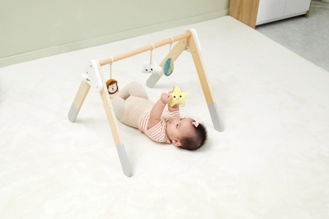 Wooden Baby Gym With Toys