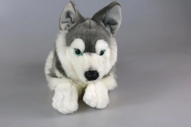 Plush Husky Dog Toy 34 cm