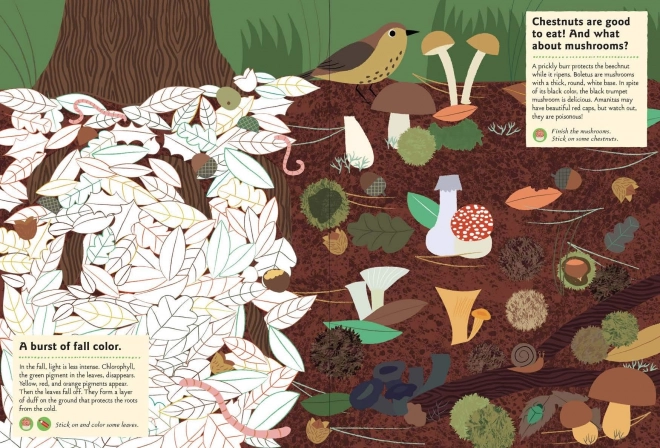 Nature Activity Sticker Book - In the Forest