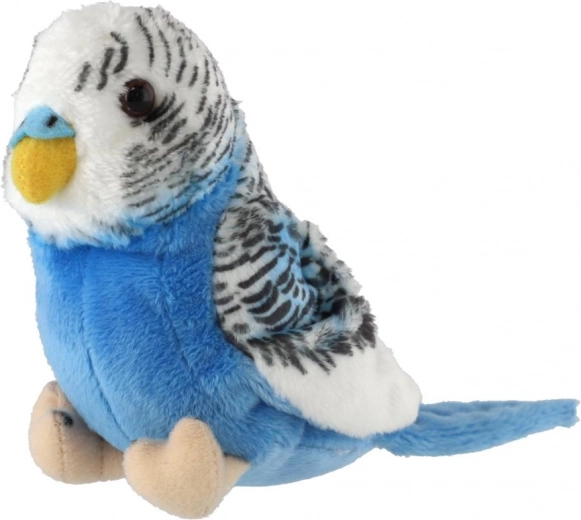 Dimensione compatta per le manine