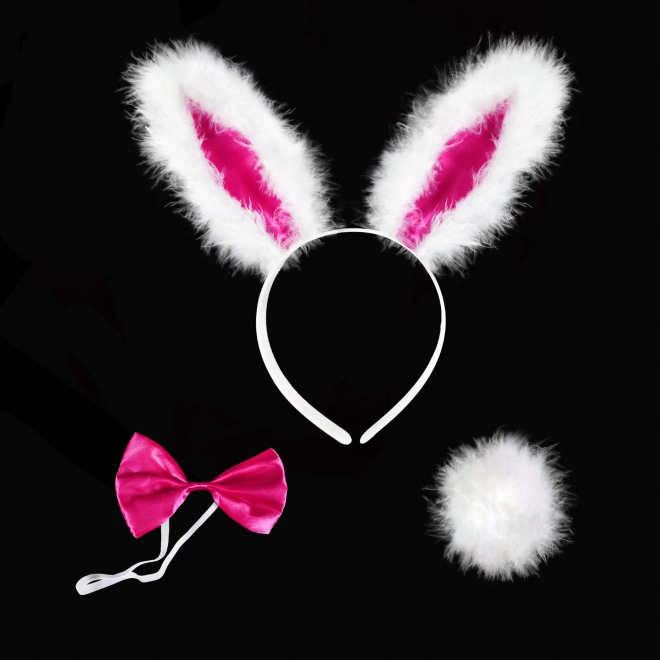 Bunny Ears and Bow Tie Costume Set