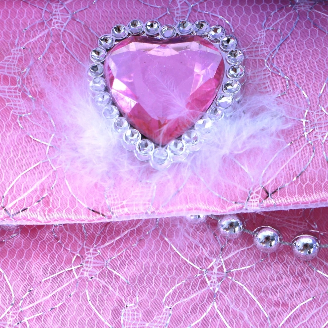 Princess Pink Accessory Set