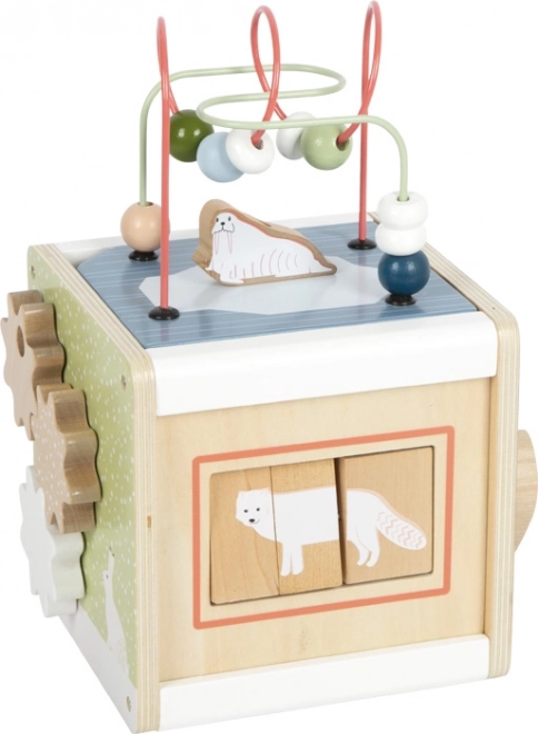 Motor Skills Cube Arctic Animals