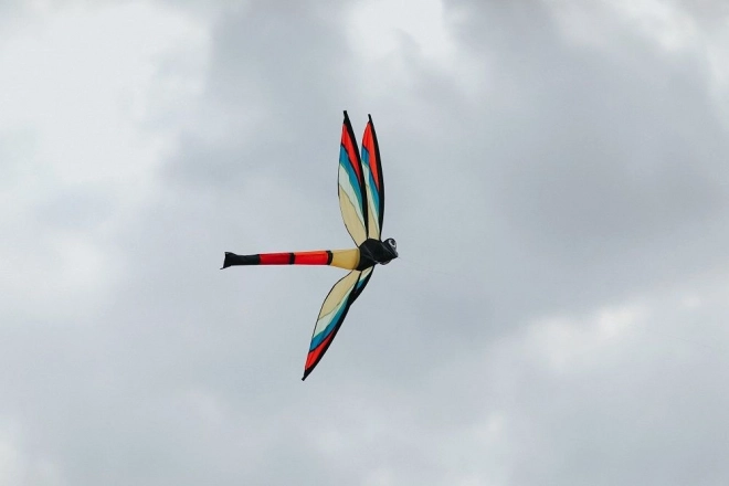 Dragonfly Kite