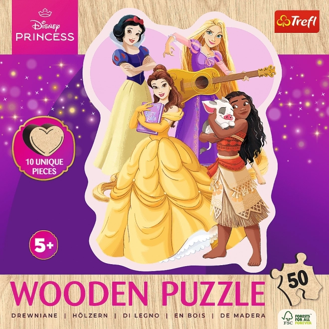 Wooden Outline Puzzle Disney Princesses