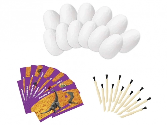 Archaeology Dinosaur Egg Set with Cards