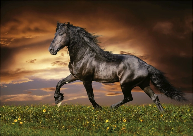 Educa Puzzle Galloping Horse 1000 Pieces