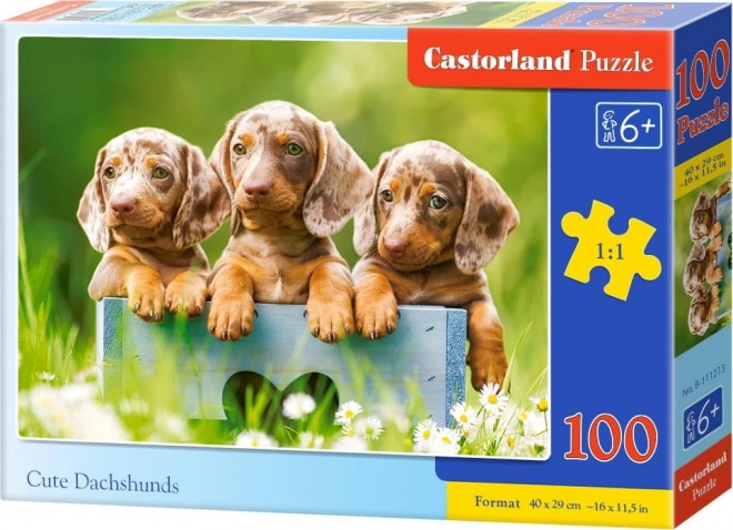 Cute Dachshunds Puzzle