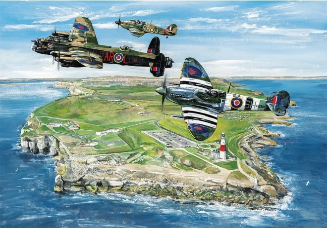 Puzzle Wings over Portland 500 pieces