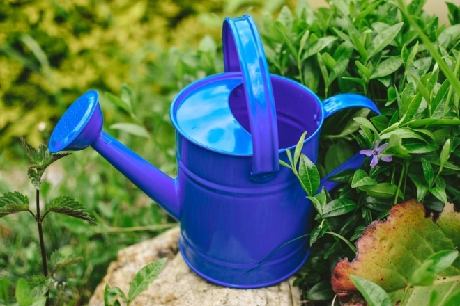 Child's Metal Watering Can - Blue