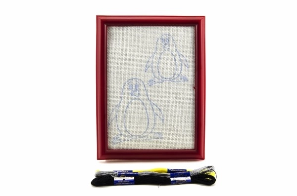 Embroidery Kit with Frame