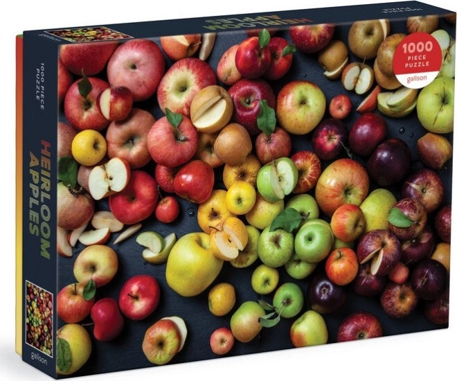 Apple Varieties Jigsaw Puzzle 1000 Pieces