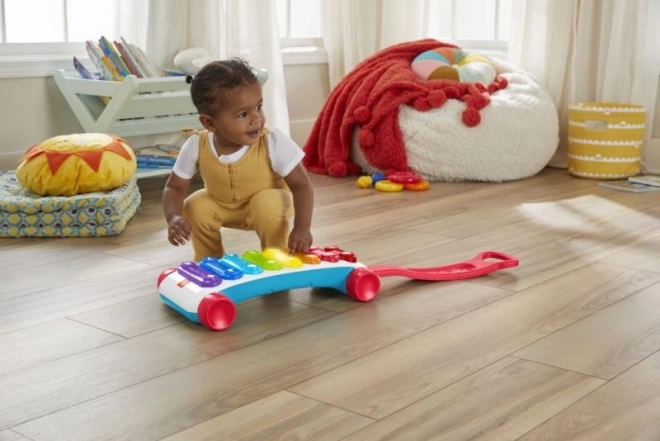 Large Educational Xylophone Pull-along Toy