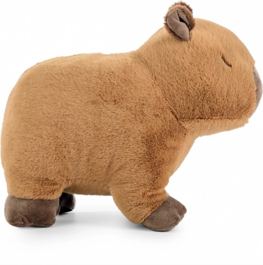 Naravna, pomirjujoča zasnova