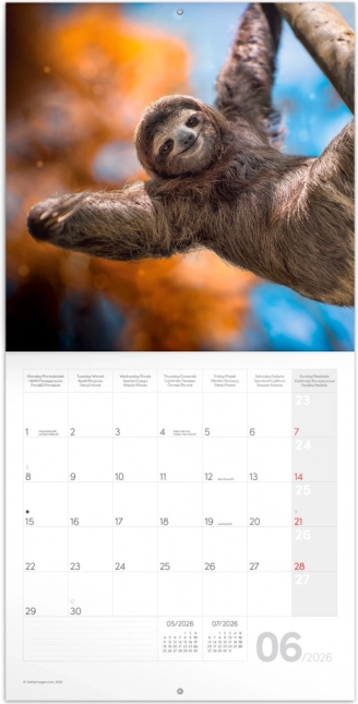 Calendrier de notes Sourire pour l'année 2026