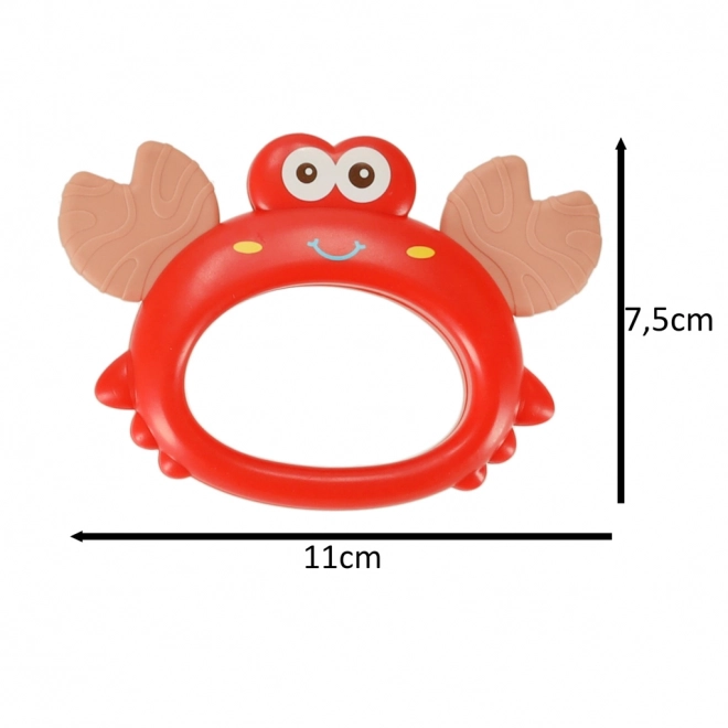 Sensory Teether Toy Set for Infants