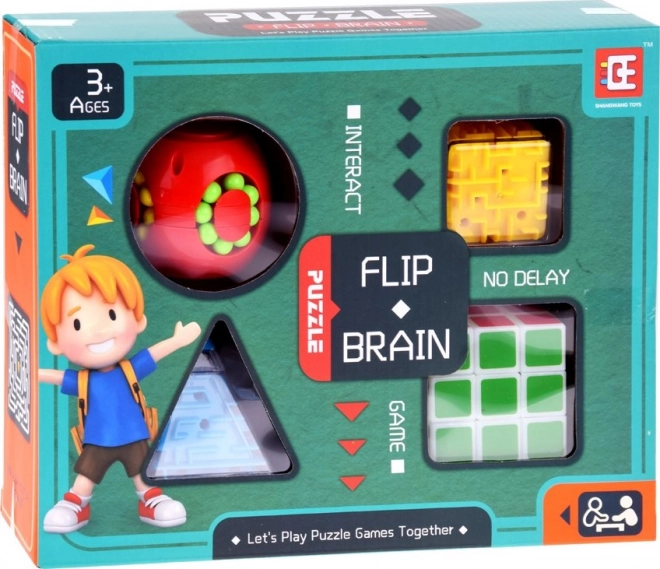 Logic Puzzle Set of 4