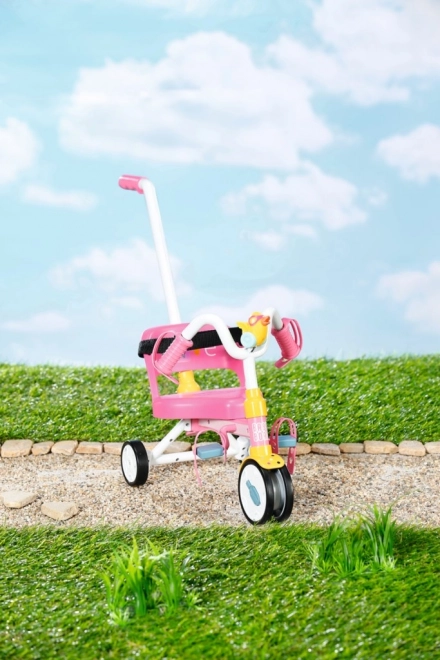 Children's Tricycle BABY born