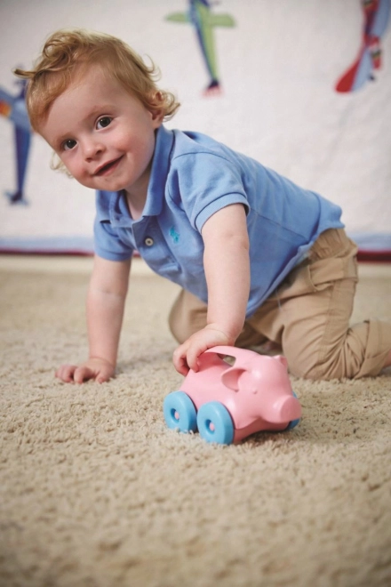 Eco-Friendly Green Toys Piglet