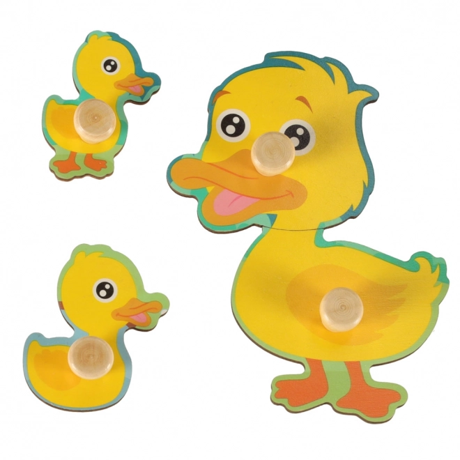 Wooden Duck Sorting Puzzle