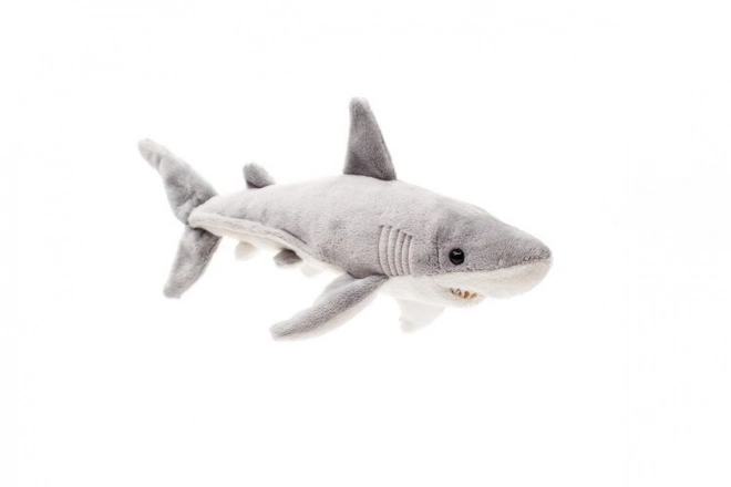 Plush Shark Toy