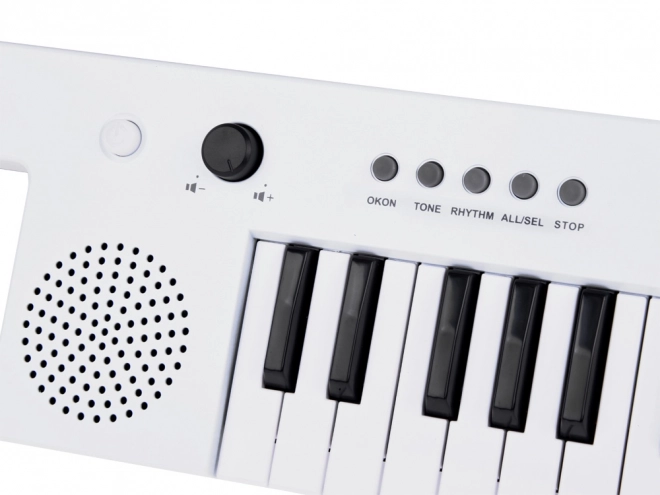 Electronic Keyboard Organs with Handle Musical Toy