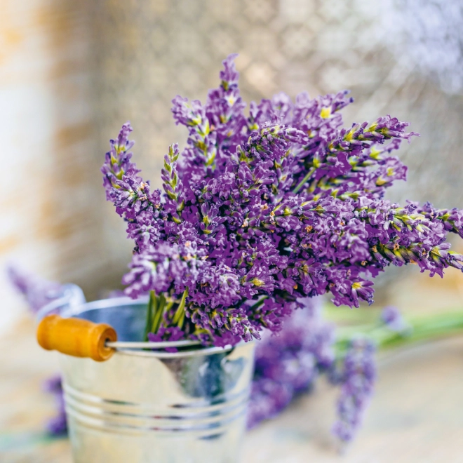 Lavender scent within reach
