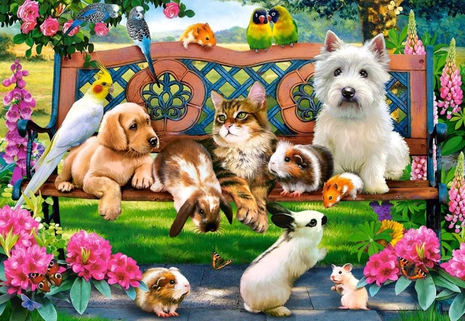 Castorland Pets in the Park Puzzle 1000 Pieces