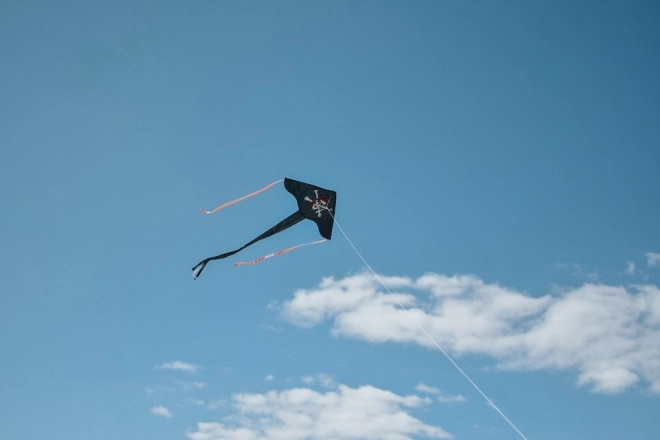 Pirate Twister Kite