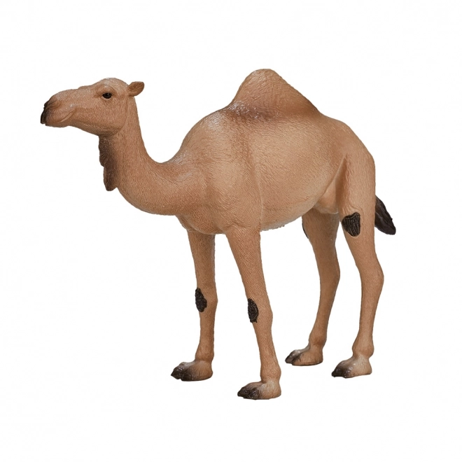 Realistic Dromedary Camel Figure